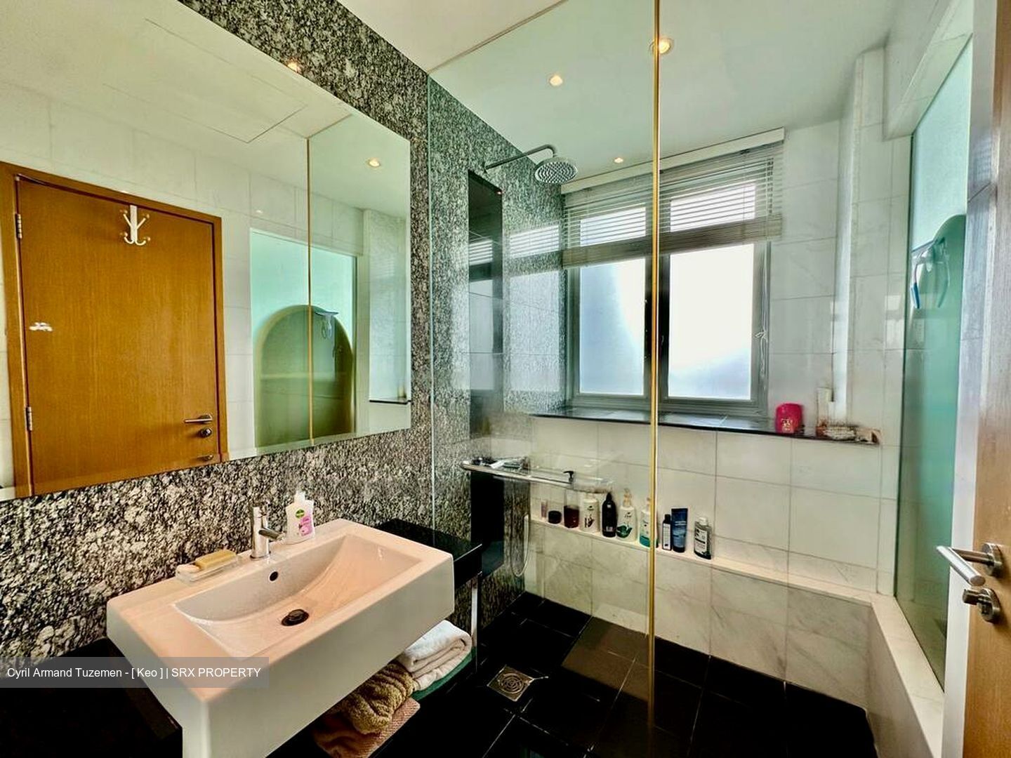 The Metz (D9), Condominium #469186561